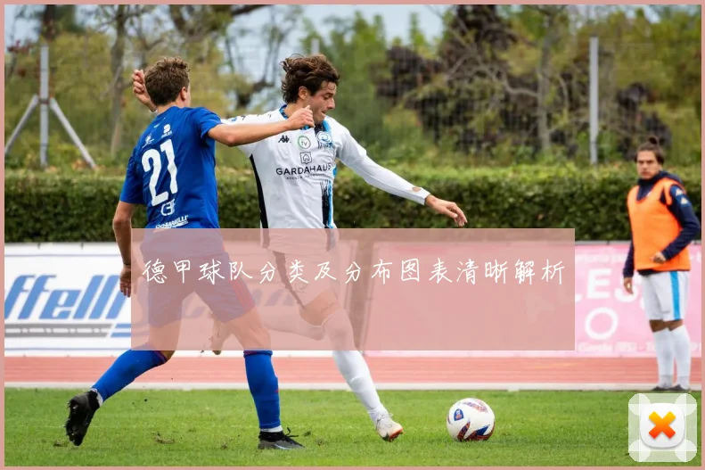 德甲球队分类及分布图表清晰解析